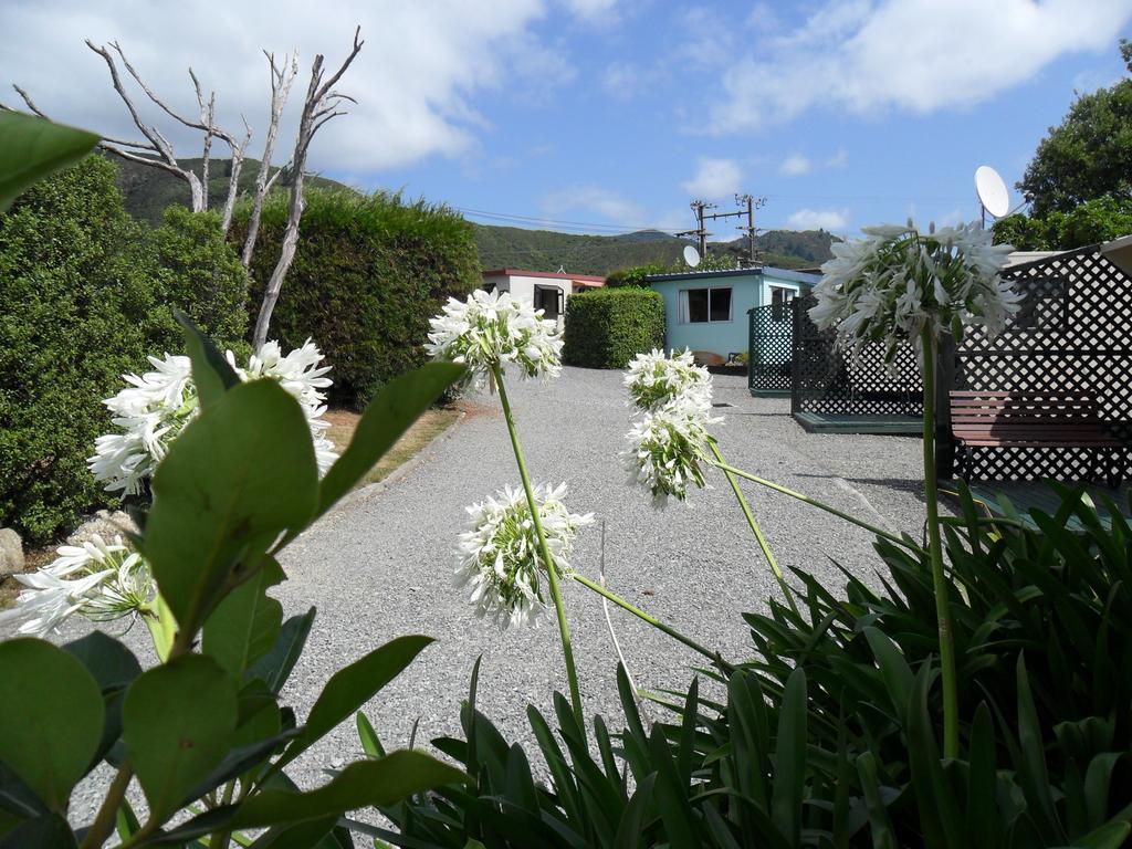 Picton'S Waikawa Bay Holiday Park Экстерьер фото